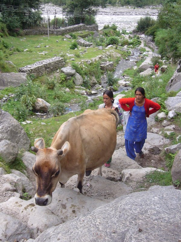 Travel - India - Himachal Pradesh - Manali - Vashisht and Around